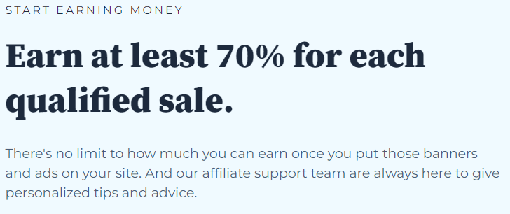 How Much Can You Make With Newsletters + Real Examples